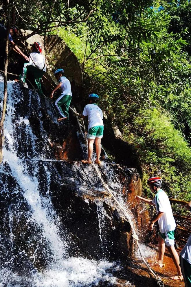 海南万宁亲子营~海边五钻酒店呀诺达雨林探秘帆船+浮潜+冲浪等10+项体验一营全搞定！(图12)