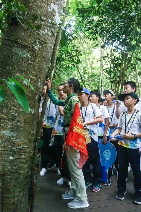 海南万宁亲子营~海边五钻酒店呀诺达雨林探秘帆船+浮潜+冲浪等10+项体验一营全搞定！(图19)