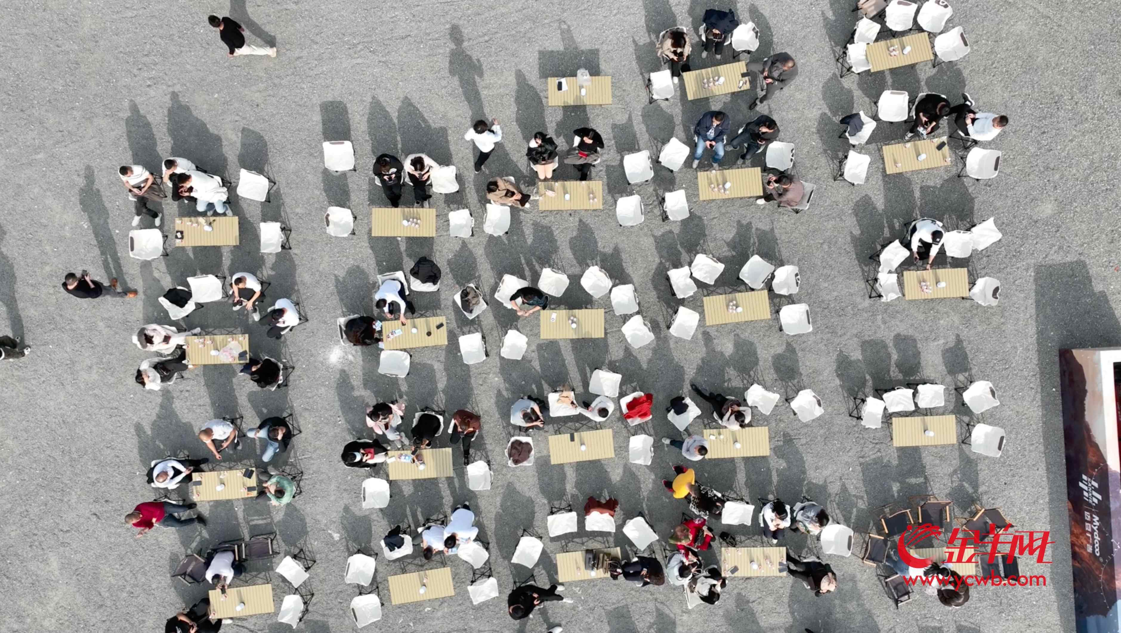 佛山三水南山镇：“蓝眼泪”淌出百万真金丨大美岭南·百村焕新记(图4)