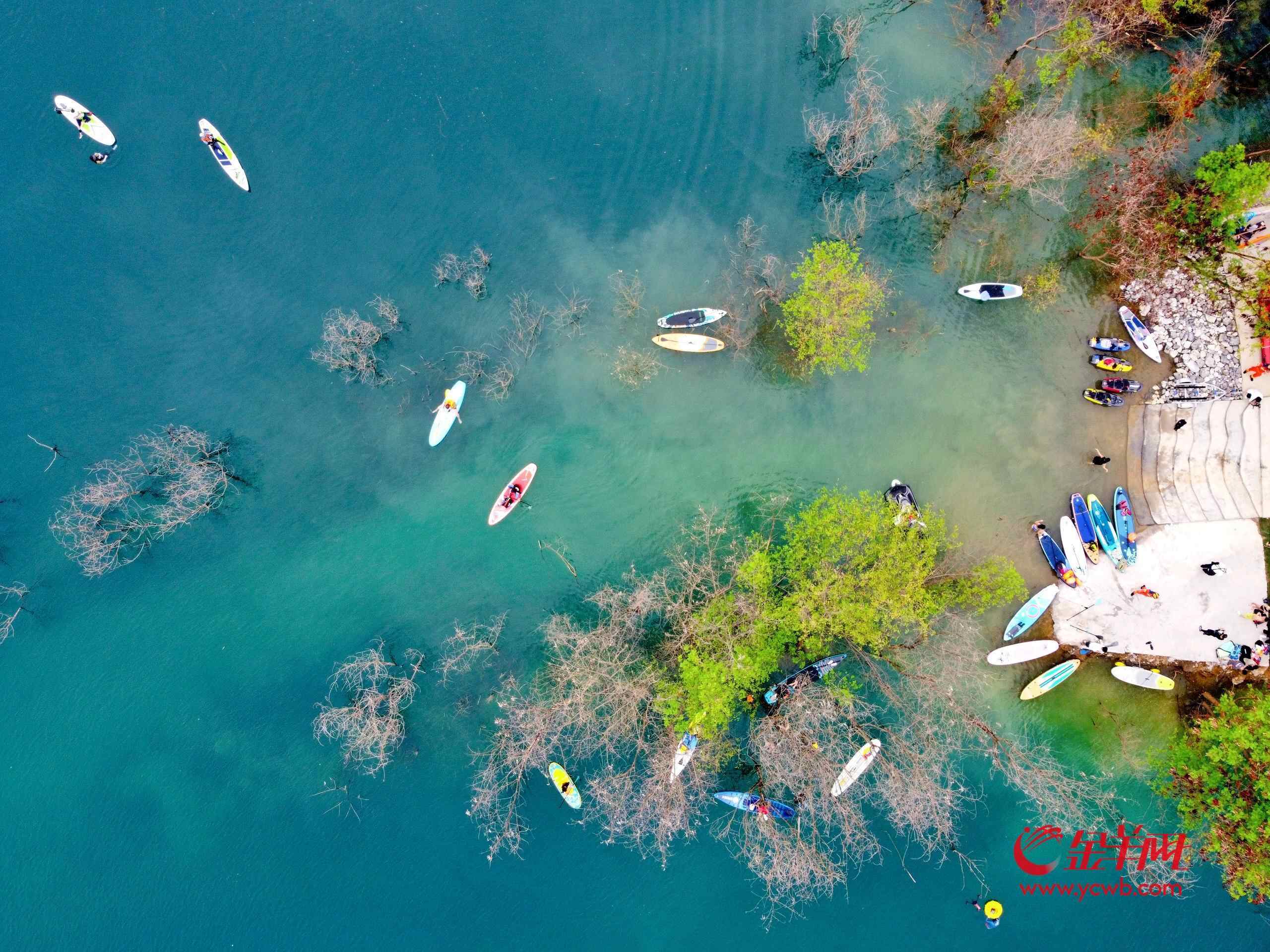 佛山三水南山镇：“蓝眼泪”淌出百万真金丨大美岭南·百村焕新记(图5)