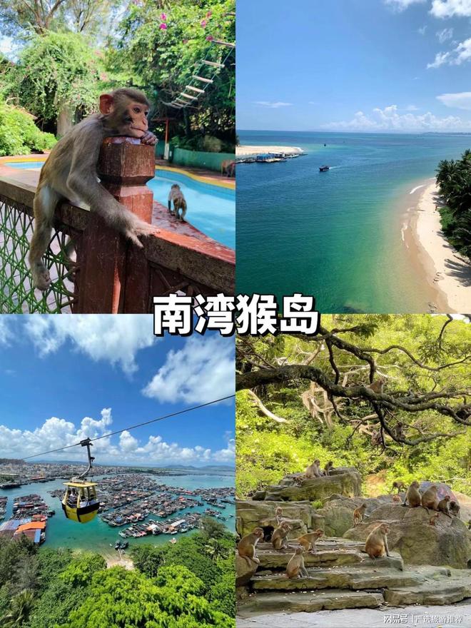 三亚避坑+小众玩法双buff！跟着领队阿跃解锁海岛“作弊级”体验(图2)