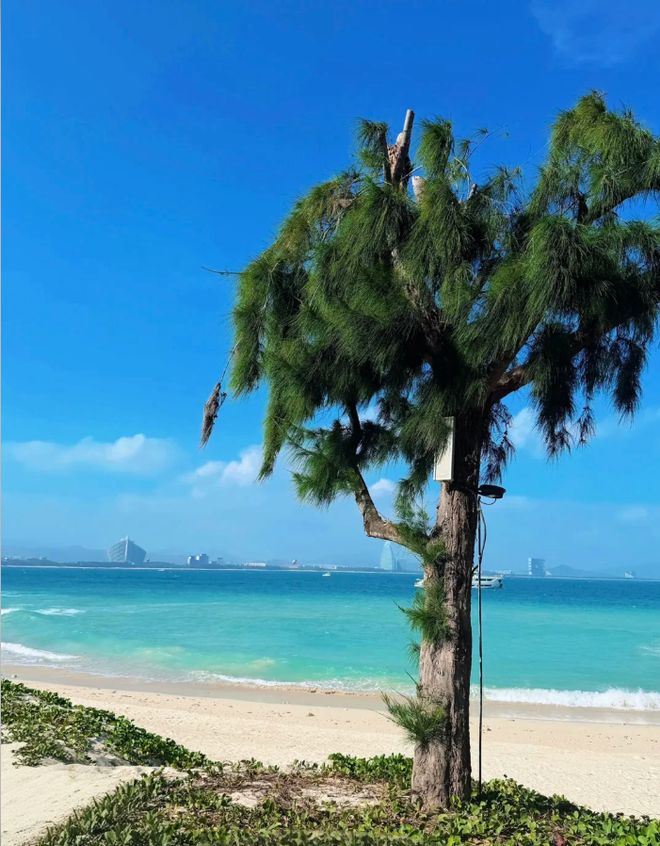 百万游客体验大数据核验！2026三亚金牌诚信旅行社TOP10新鲜出炉(图6)