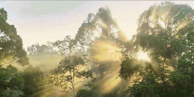 逃离寒冷！海南度假玩法全打包~海边五钻酒店呀诺达雨林探秘帆船+浮潜+冲浪等10+项体验一营全搞定！(图10)