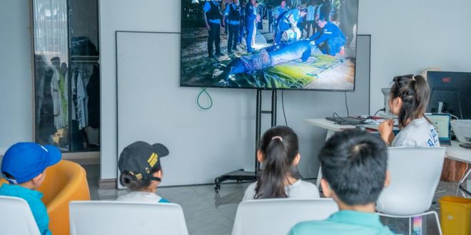 逃离寒冷！海南度假玩法全打包~海边五钻酒店呀诺达雨林探秘帆船+浮潜+冲浪等10+项体验一营全搞定！(图17)