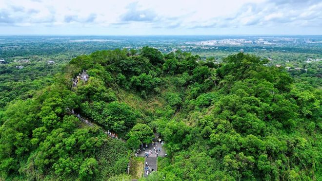逃离寒冷！海南度假玩法全打包~海边五钻酒店呀诺达雨林探秘帆船+浮潜+冲浪等10+项体验一营全搞定！(图21)