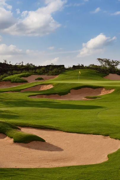 逃离寒冷！海南度假玩法全打包~海边五钻酒店呀诺达雨林探秘帆船+浮潜+冲浪等10+项体验一营全搞定！(图4)
