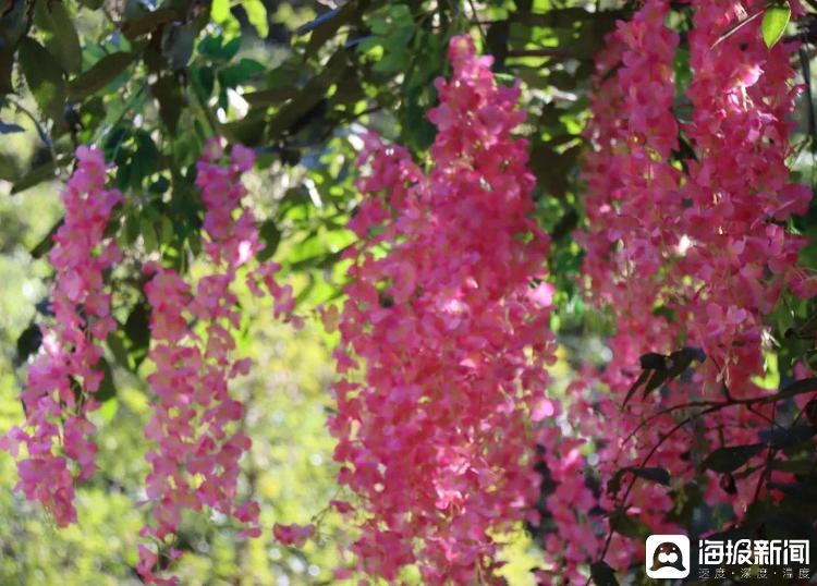 晒晒家乡“打卡地”丨悠然深谷、小桥流水……记者带你打卡无极鬼谷旅游区(图4)