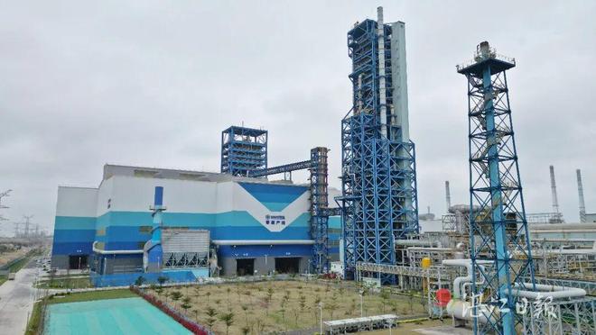 亮眼！湛江2025成绩单出炉！(图2)