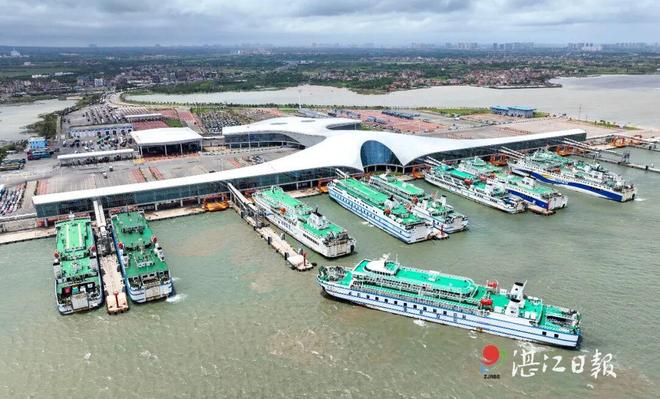 亮眼！湛江2025成绩单出炉！(图8)