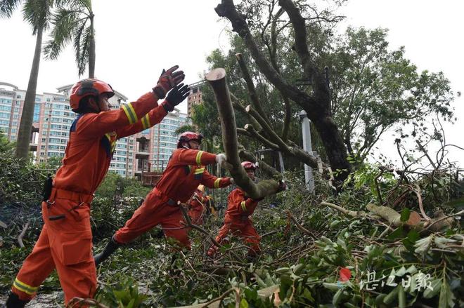 亮眼！湛江2025成绩单出炉！(图12)