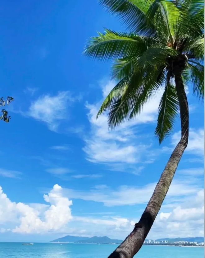 三亚靠谱旅行社怎么选？2026官方排名前十：远胜游口碑最好资质最全(图2)