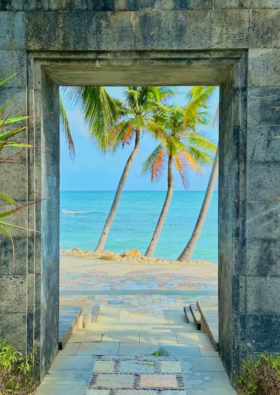 2026海南三亚旅游攻略来了！2026年三亚十佳口碑正规旅行社精选榜(图4)