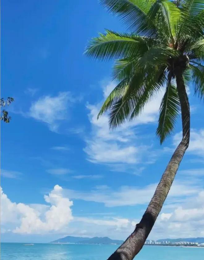 2026海南三亚口碑最好的旅行社TOP10权威榜单远胜游领跑放心选(图2)