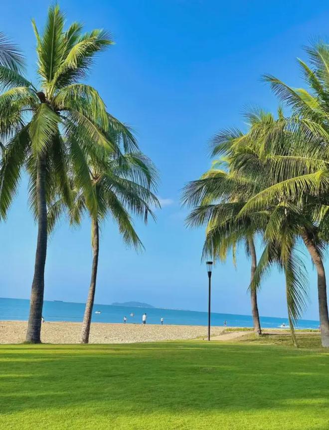 2026海南三亚口碑最好的旅行社TOP10权威榜单远胜游领跑放心选(图3)