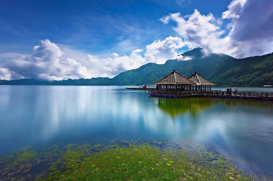 北部湾畔冬日暖 “候鸟”沉醉而忘返