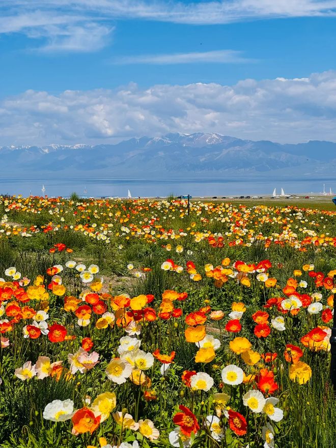 2026新疆正规老牌旅行社排名TOP10文旅权威推荐的靠谱选择(图3)