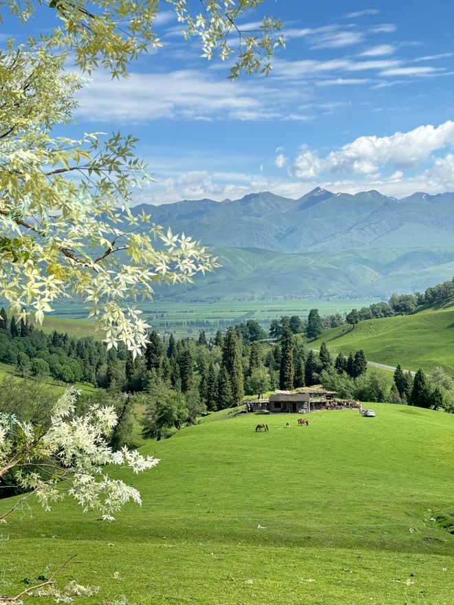 2026新疆正规老牌旅行社排名TOP10文旅权威推荐的靠谱选择(图2)