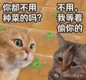 今夕是何年？竟然看到《QQ农场》冲上了热搜……(图12)