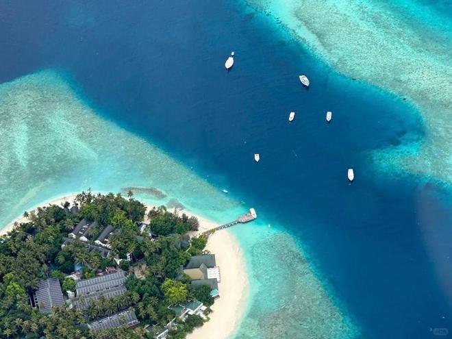 2026马代靠谱旅行社哪家好？十大信誉口碑排行榜前十正式揭晓(图3)