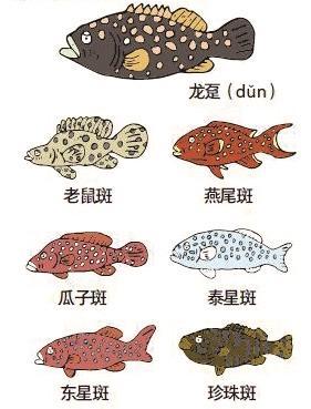 在赶海中找到别样乐趣