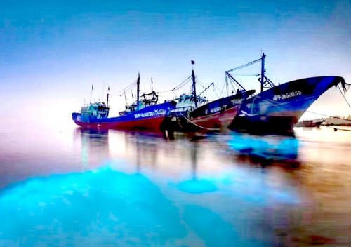 风拂浪涌韵如章——我在湾区念家乡(图2)