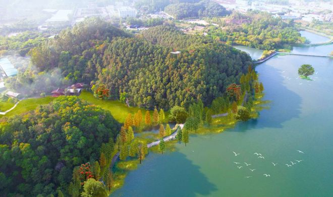 破冰逐浪造极！花都为何抢滩“新三板”？(图8)