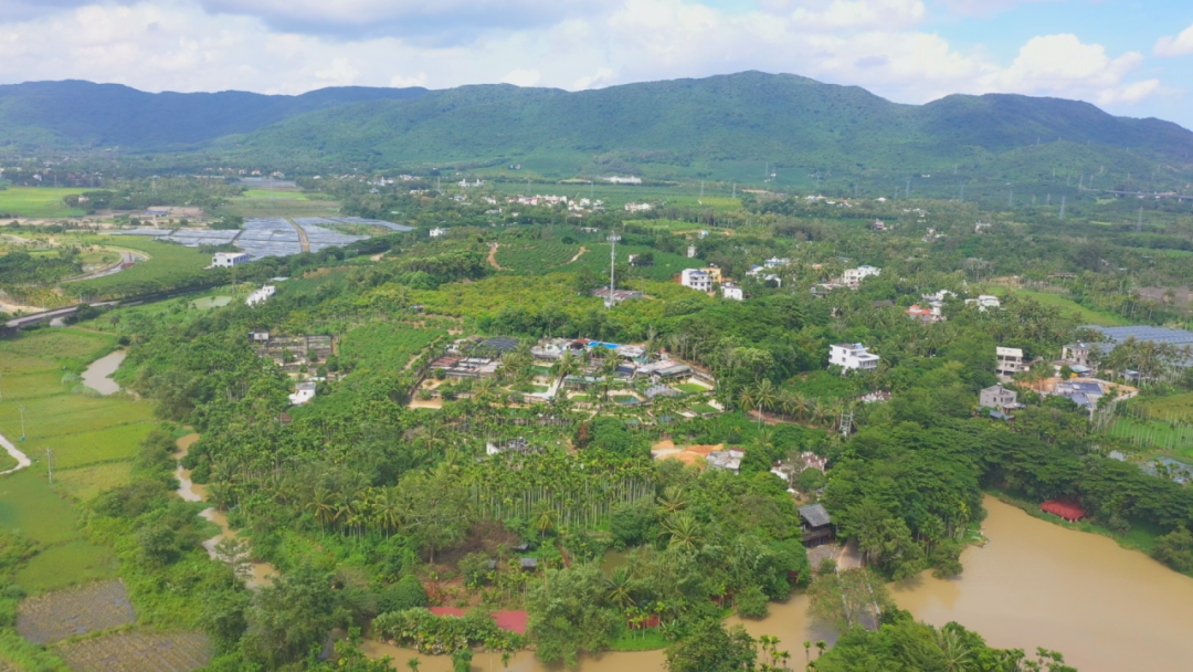 心！动！啦！(图12)