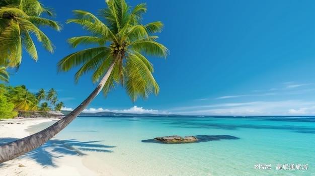 海南三亚七天六晚旅游住米高梅酒店省钱技巧、必去景点门票攻略(图3)